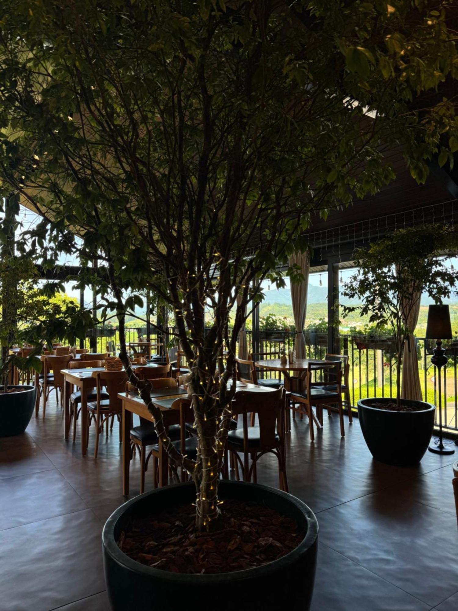נובה ונסה Bormon Hotel מראה חיצוני תמונה